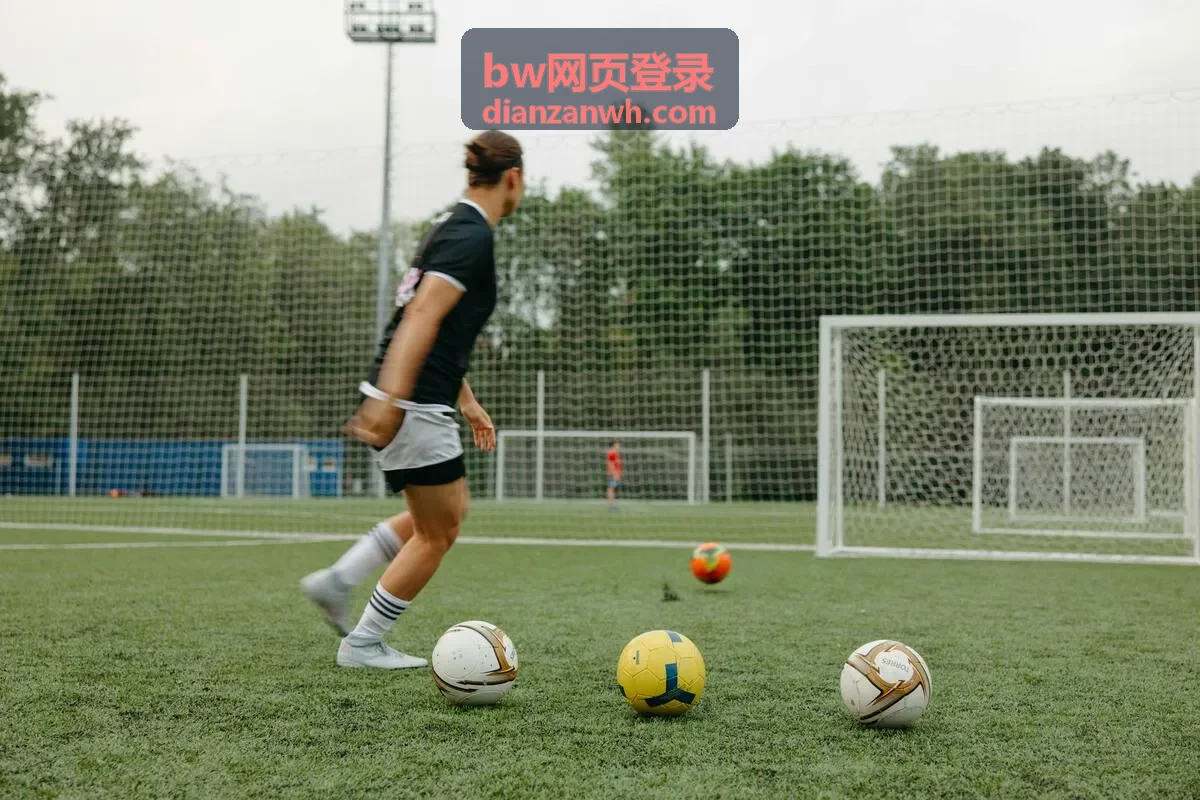 bw网页登录 投屏与多设备续播示意