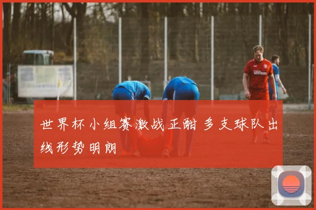 世界杯小组赛激战正酣 多支球队出线形势明朗