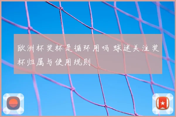 欧洲杯奖杯是循环用吗 球迷关注奖杯归属与使用规则