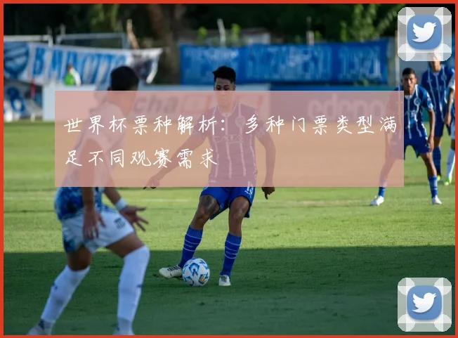 世界杯票种解析:多种门票类型满足不同观赛需求