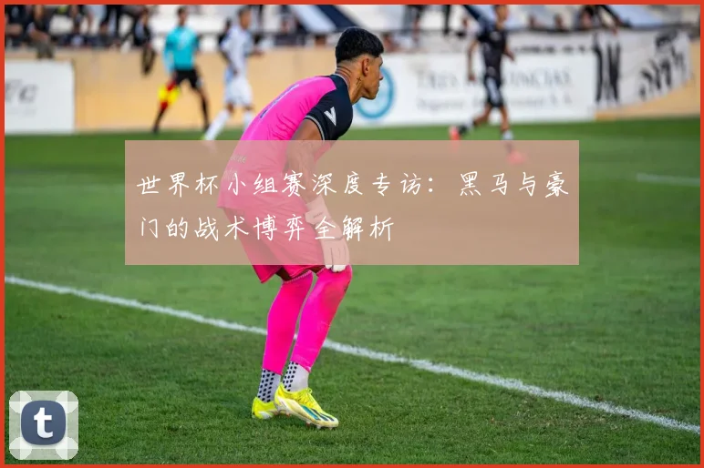 世界杯小组赛深度专访：黑马与豪门的战术博弈全解析
