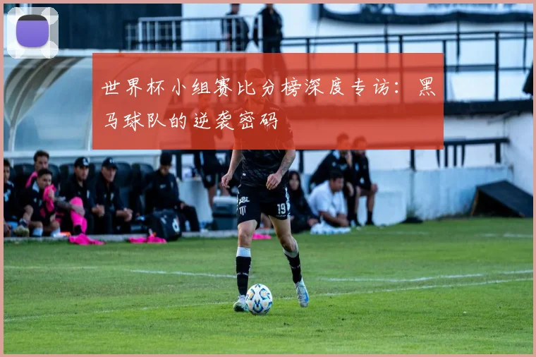 世界杯小组赛比分榜深度专访:黑马球队的逆袭密码