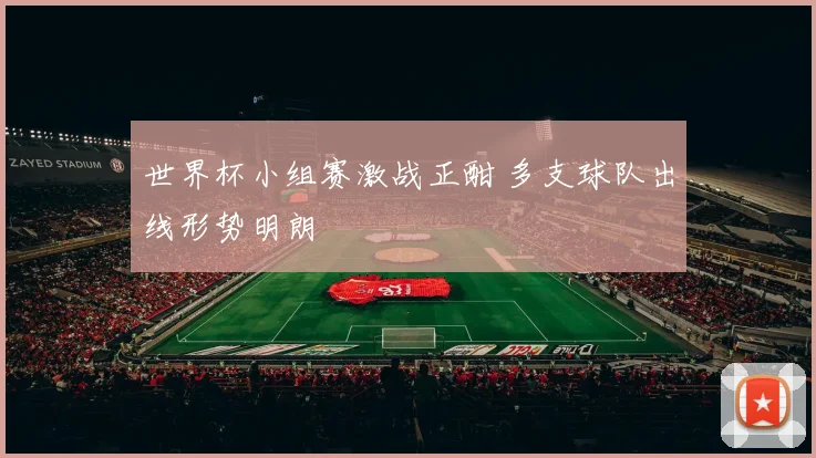 世界杯小组赛激战正酣 多支球队出线形势明朗