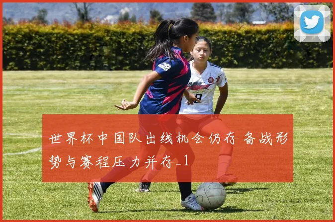 世界杯中国队出线机会仍存 备战形势与赛程压力并存_1