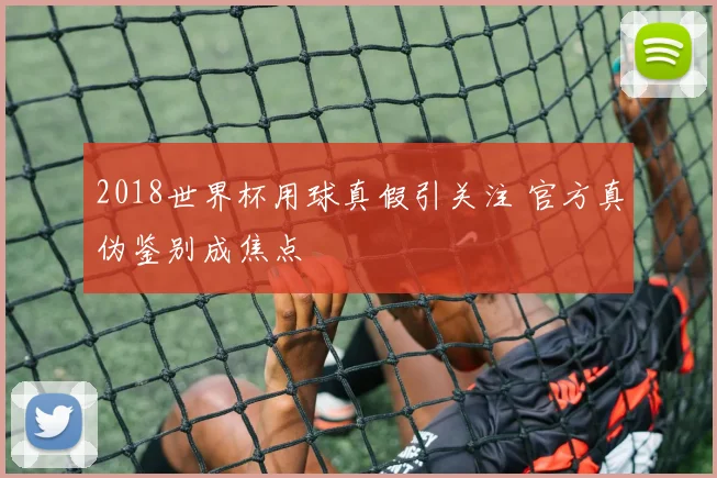 2018世界杯用球真假引关注 官方真伪鉴别成焦点