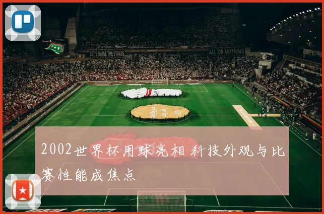 2002世界杯用球亮相 科技外观与比赛性能成焦点