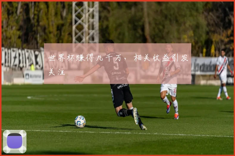 世界杯赚得几千万，相关收益引发关注