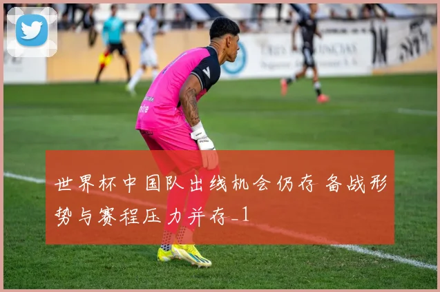 世界杯中国队出线机会仍存 备战形势与赛程压力并存_1