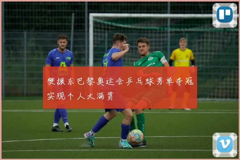 樊振东巴黎奥运会乒乓球男单夺冠实现个人大满贯