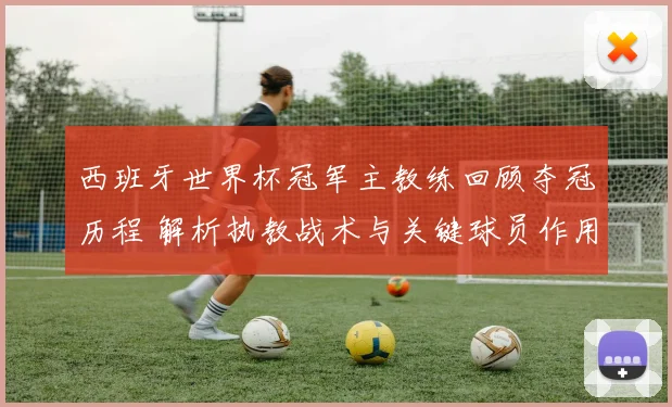 西班牙世界杯冠军主教练回顾夺冠历程 解析执教战术与关键球员作用