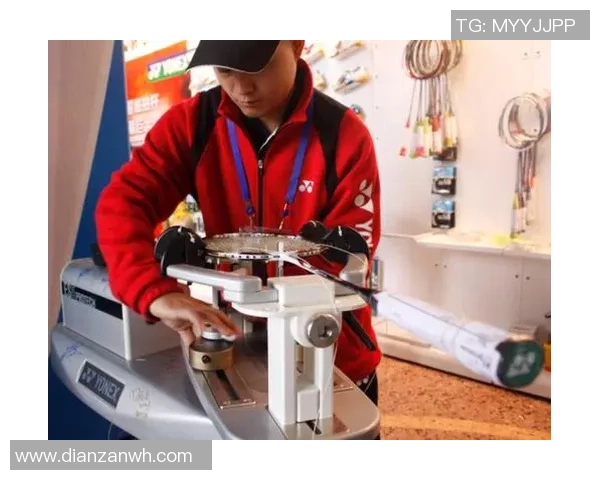 深圳羽毛球队的蜕变之路与深度解析羽毛球运动的未来发展